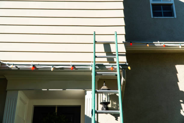 Best Brick Veneer Siding  in Franklin, CA